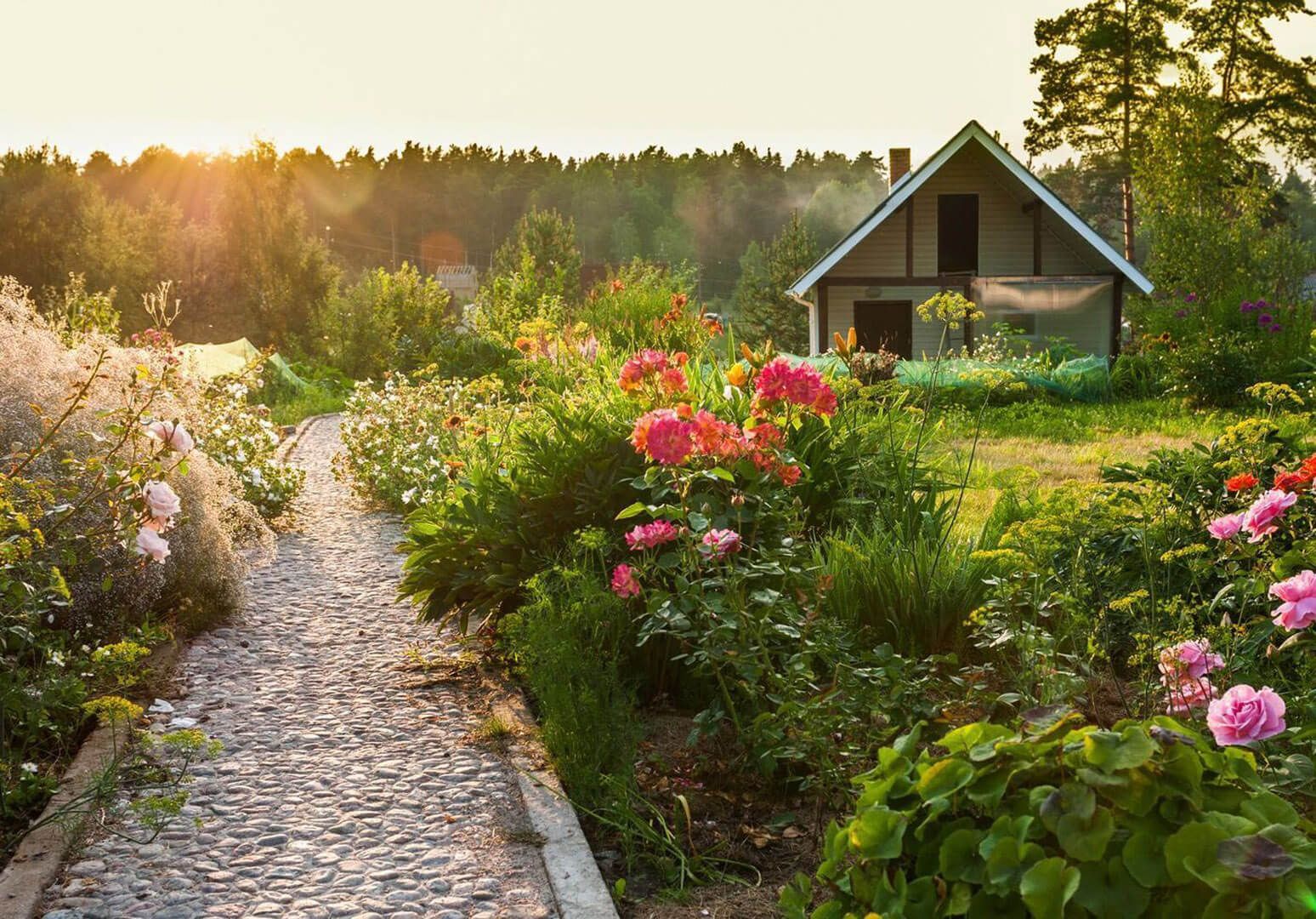 Gartenbau in Wendeburg, Peine und Salzgitter GaLaBau
