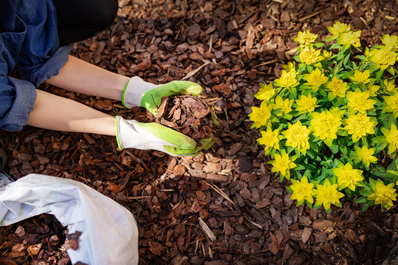Dekoratives Hackgut für den Garten